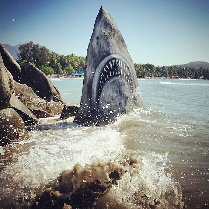 Graffiti Artist Turns A Beach Stone Into A Great White Shark And People Post Their Best Pics With It Graffiti Artist Turns A Beach Stone Into A Great White Shark And People Post Their Best Pics With It