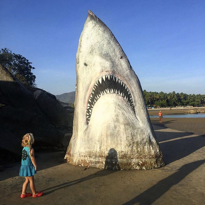 Graffiti Artist Turns A Beach Stone Into A Great White Shark And People Post Their Best Pics With It Graffiti Artist Turns A Beach Stone Into A Great White Shark And People Post Their Best Pics With It