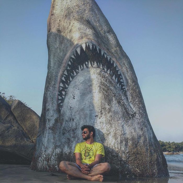 Graffiti Artist Turns A Beach Stone Into A Great White Shark And People Post Their Best Pics With It Graffiti Artist Turns A Beach Stone Into A Great White Shark And People Post Their Best Pics With It