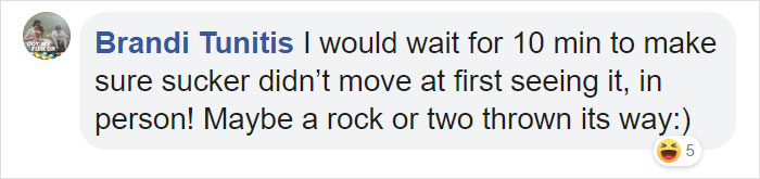 Graffiti Artist Turns A Beach Stone Into A Great White Shark And People Post Their Best Pics With It Graffiti Artist Turns A Beach Stone Into A Great White Shark And People Post Their Best Pics With It