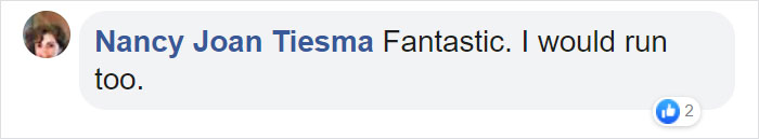 Graffiti Artist Turns A Beach Stone Into A Great White Shark And People Post Their Best Pics With It Graffiti Artist Turns A Beach Stone Into A Great White Shark And People Post Their Best Pics With It