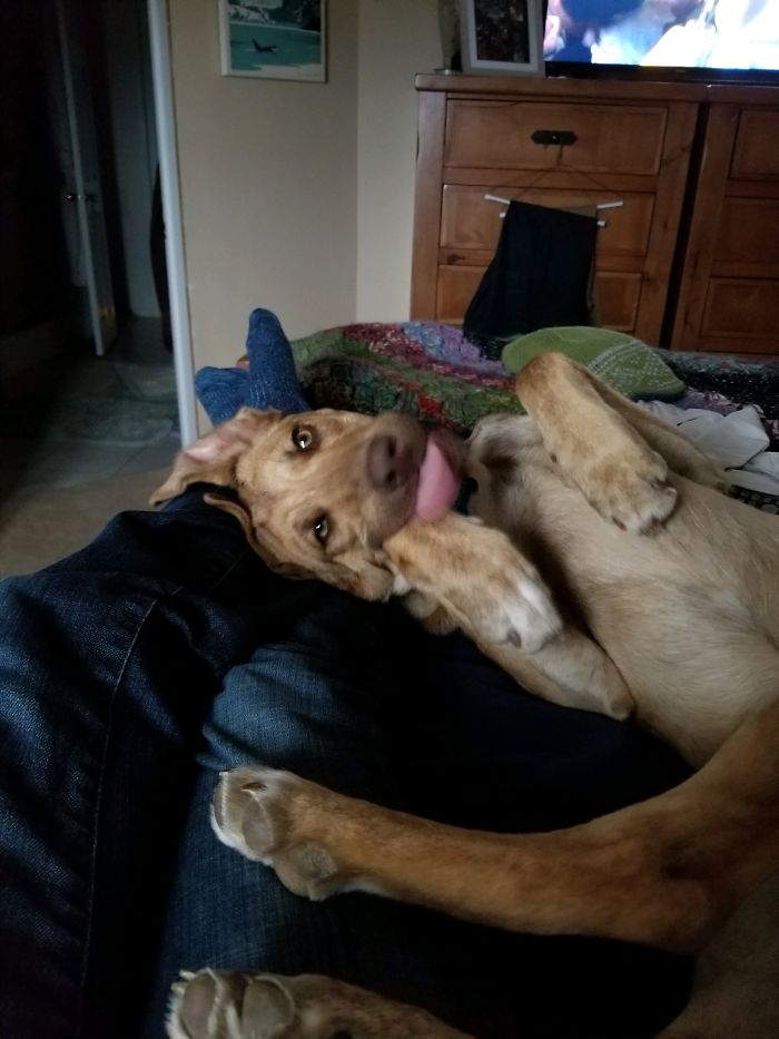 Hey Pandas, Share The Most Unflattering Pics Of Your Pets! Hey Pandas, Share The Most Unflattering Pics Of Your Pets!