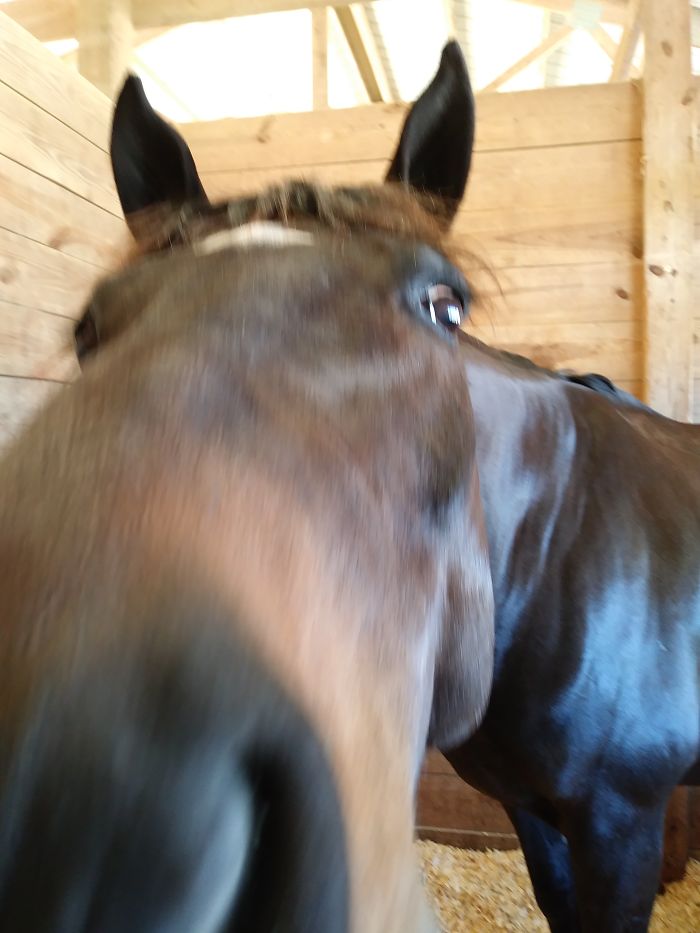 Hey Pandas, Share The Most Unflattering Pics Of Your Pets! Hey Pandas, Share The Most Unflattering Pics Of Your Pets!