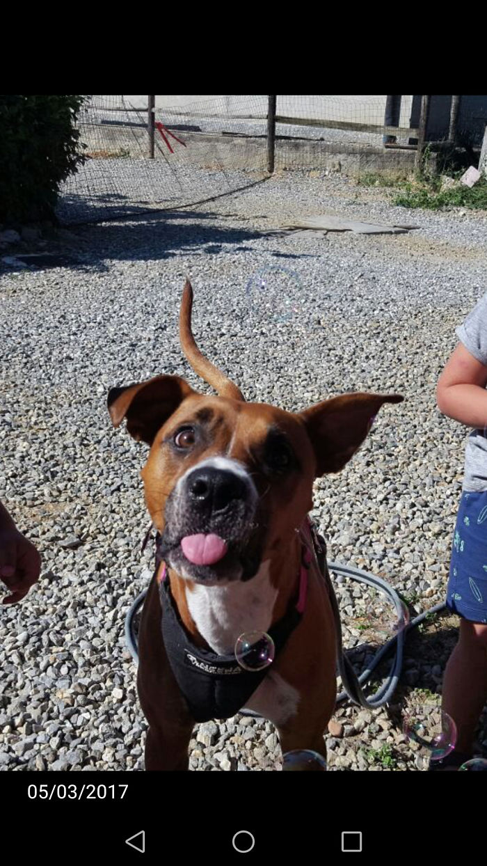 Hey Pandas, Share The Most Unflattering Pics Of Your Pets! Hey Pandas, Share The Most Unflattering Pics Of Your Pets!