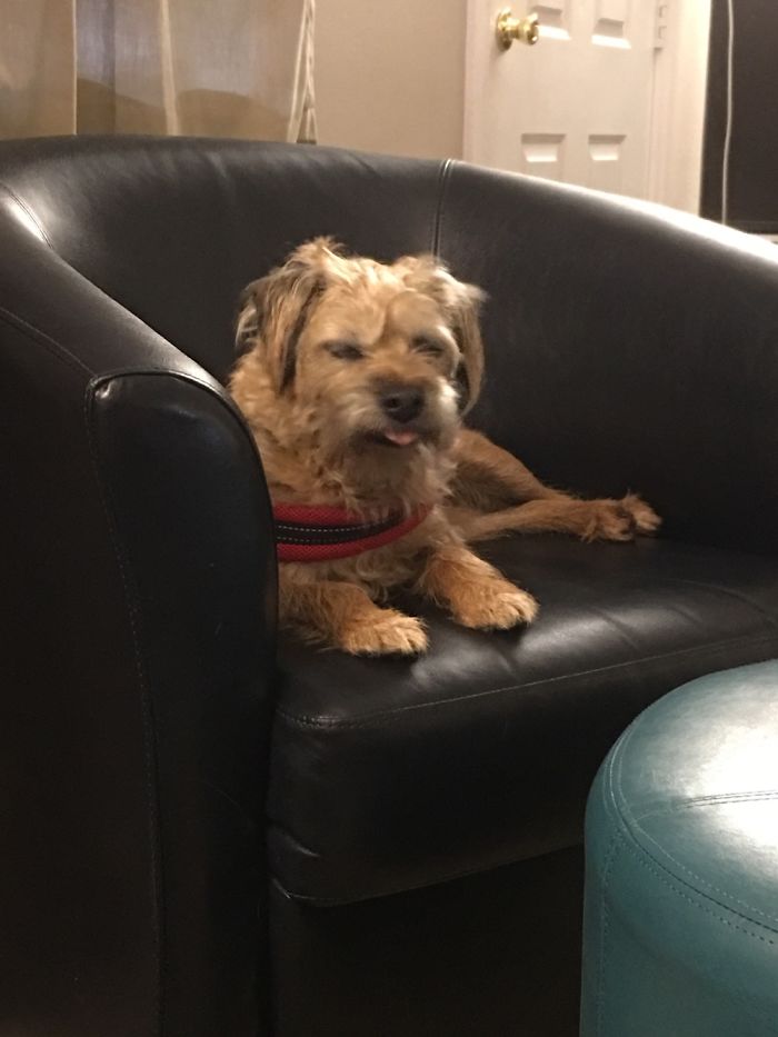 Hey Pandas, Share The Most Unflattering Pics Of Your Pets! Hey Pandas, Share The Most Unflattering Pics Of Your Pets!