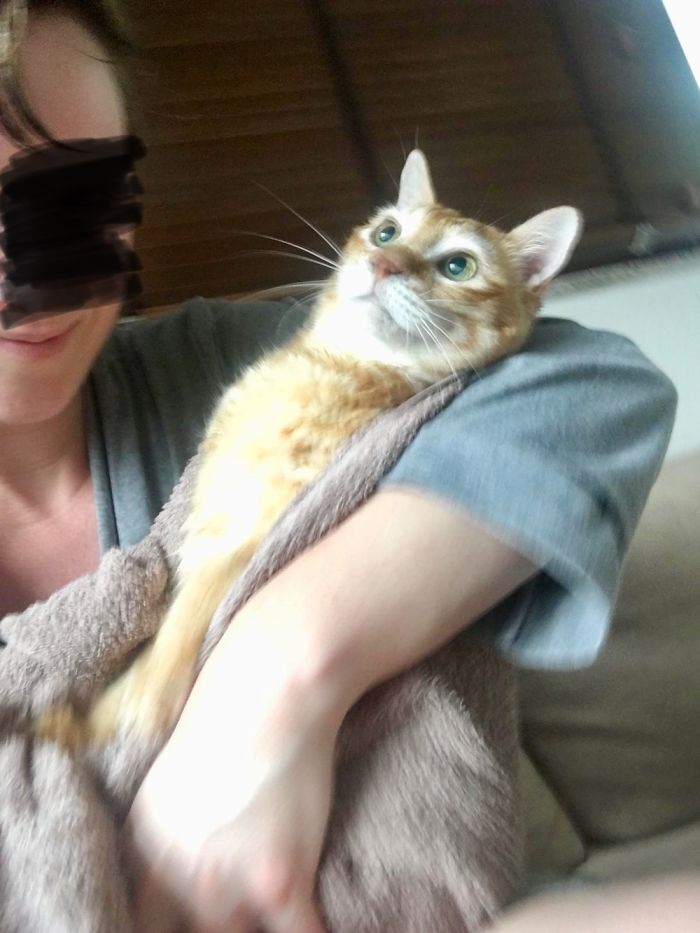 Hey Pandas, Share The Most Unflattering Pics Of Your Pets! Hey Pandas, Share The Most Unflattering Pics Of Your Pets!