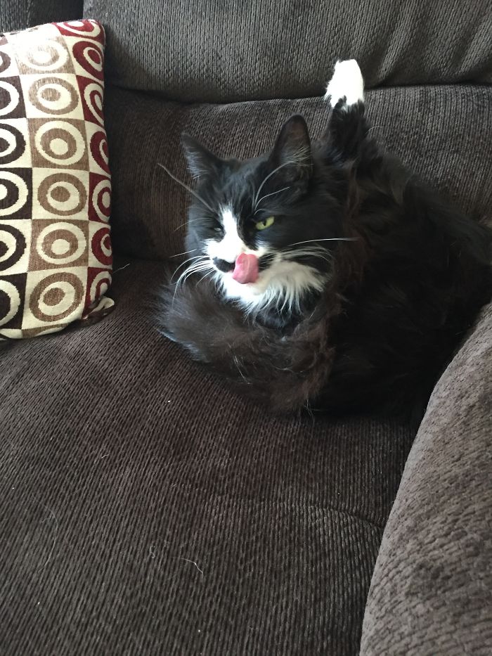 Hey Pandas, Share The Most Unflattering Pics Of Your Pets! Hey Pandas, Share The Most Unflattering Pics Of Your Pets!