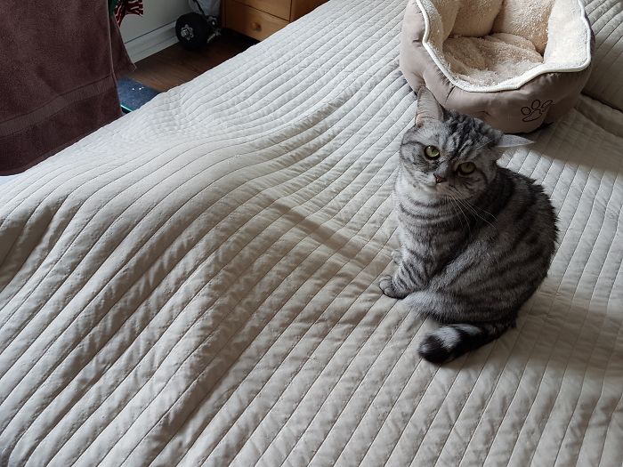 Hey Pandas, Share The Most Unflattering Pics Of Your Pets! Hey Pandas, Share The Most Unflattering Pics Of Your Pets!