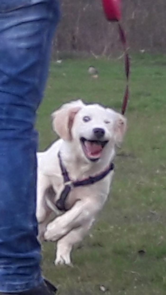 Hey Pandas, Share The Most Unflattering Pics Of Your Pets! Hey Pandas, Share The Most Unflattering Pics Of Your Pets!