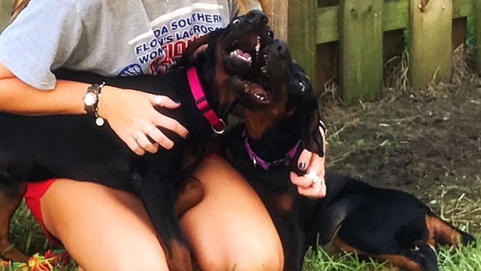 Hey Pandas, Share The Most Unflattering Pics Of Your Pets! Hey Pandas, Share The Most Unflattering Pics Of Your Pets!