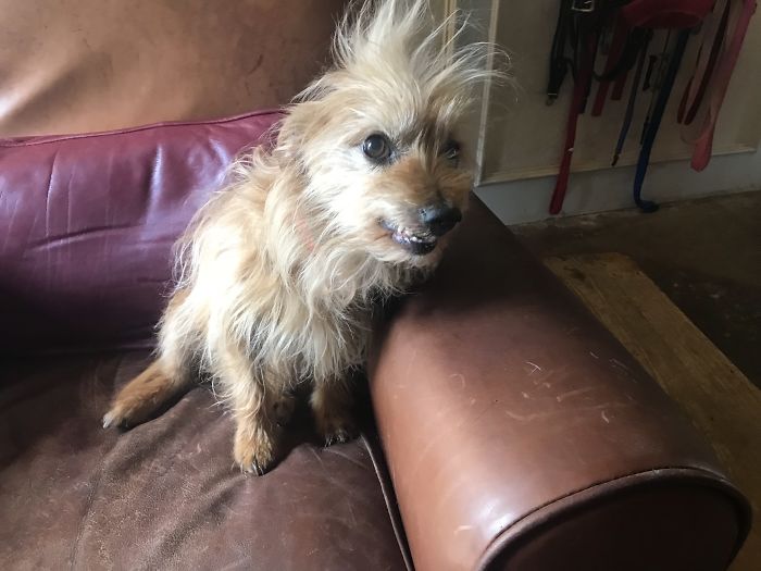 Hey Pandas, Share The Most Unflattering Pics Of Your Pets! Hey Pandas, Share The Most Unflattering Pics Of Your Pets!