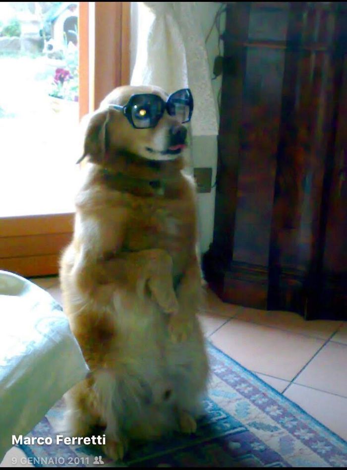 Hey Pandas, Share The Most Unflattering Pics Of Your Pets! Hey Pandas, Share The Most Unflattering Pics Of Your Pets!