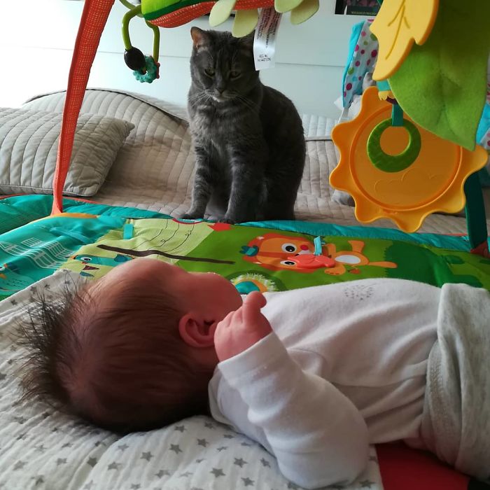 Hey Pandas, Share The Most Unflattering Pics Of Your Pets! Hey Pandas, Share The Most Unflattering Pics Of Your Pets!