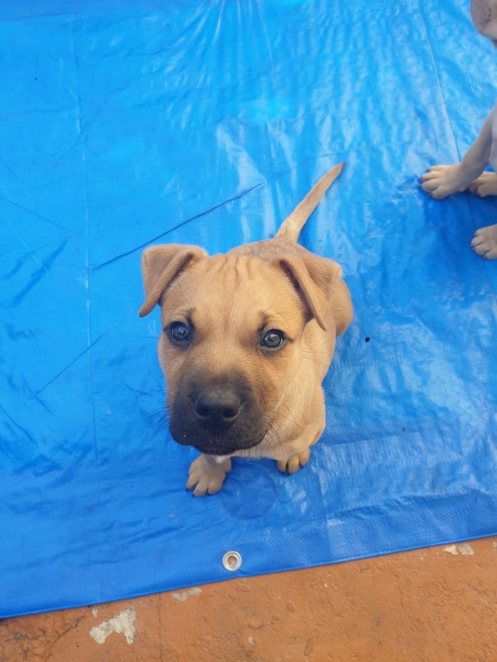 Hey Pandas, Share The Most Unflattering Pics Of Your Pets! Hey Pandas, Share The Most Unflattering Pics Of Your Pets!