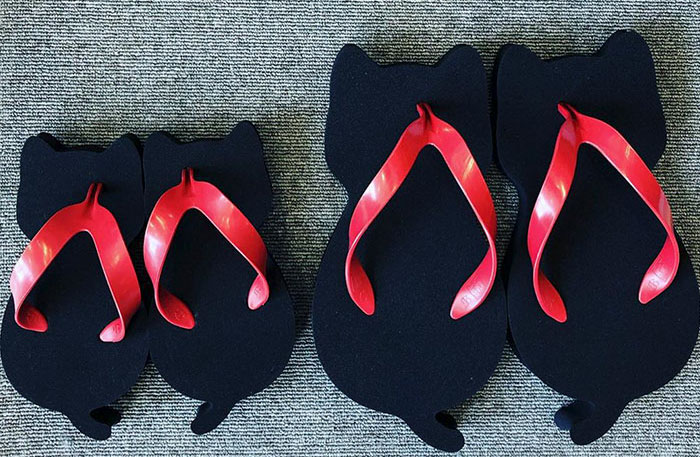 These Cat-Shaped Sandals Were Created By A Japanese Company, And They Look Adorable These Cat-Shaped Sandals Were Created By A Japanese Company, And They Look Adorable