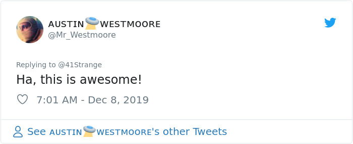 Someone Points Out That Dog Paws Look Like Koalas And Everyone Shares Pics Someone Points Out That Dog Paws Look Like Koalas And Everyone Shares Pics