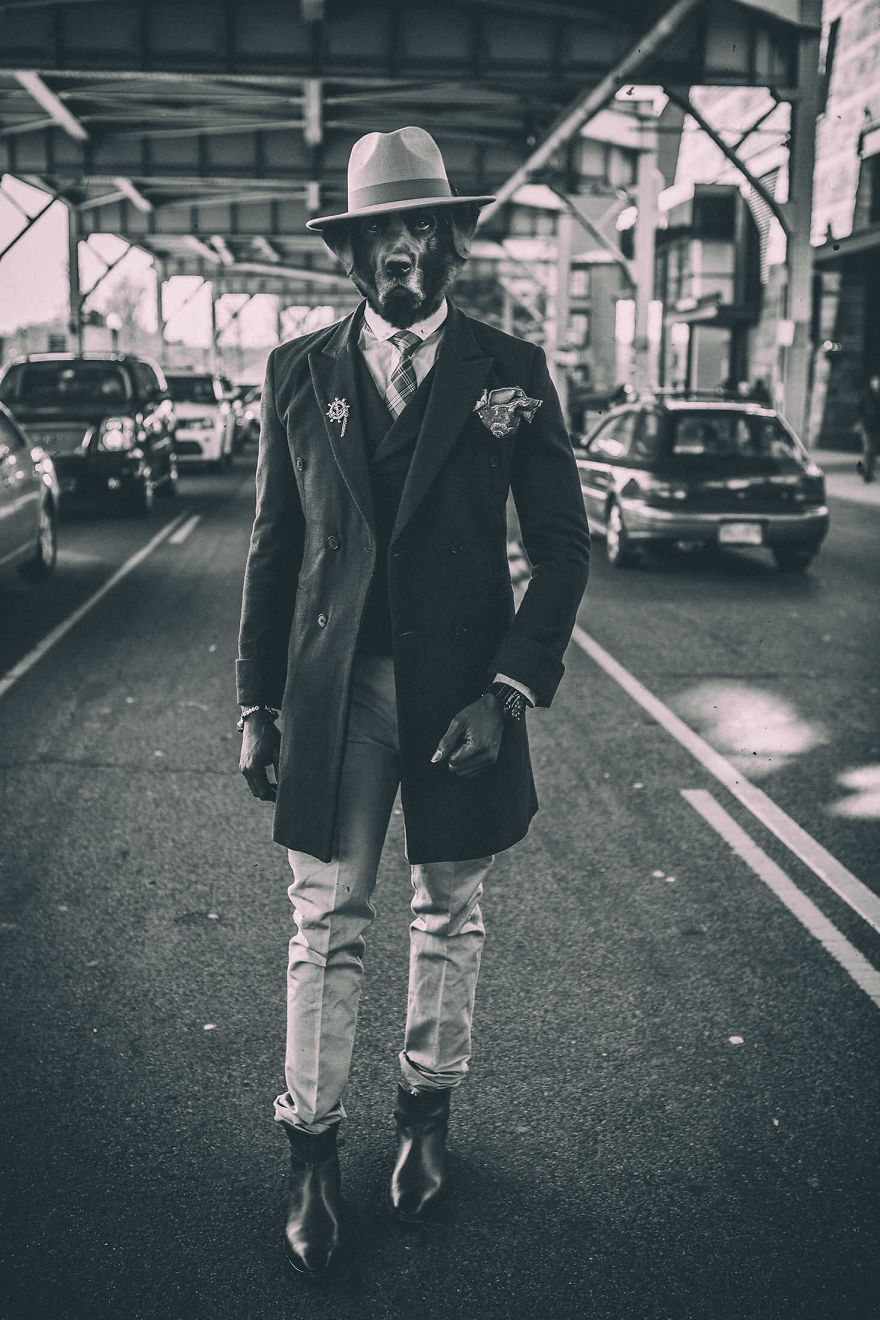 My Photo Editing Project “Anthropomorphism” That Humanizes Animals And Animalizes Humans (30 Pics) My Photo Editing Project “Anthropomorphism” That Humanizes Animals And Animalizes Humans (30 Pics)