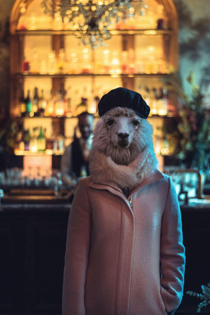 My Photo Editing Project “Anthropomorphism” That Humanizes Animals And Animalizes Humans (30 Pics) My Photo Editing Project “Anthropomorphism” That Humanizes Animals And Animalizes Humans (30 Pics)
