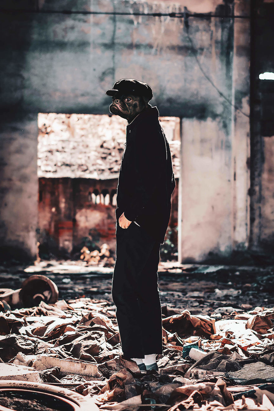 My Photo Editing Project “Anthropomorphism” That Humanizes Animals And Animalizes Humans (30 Pics) My Photo Editing Project “Anthropomorphism” That Humanizes Animals And Animalizes Humans (30 Pics)