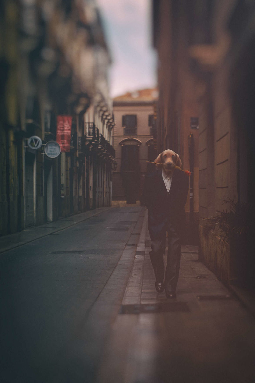 My Photo Editing Project “Anthropomorphism” That Humanizes Animals And Animalizes Humans (30 Pics) My Photo Editing Project “Anthropomorphism” That Humanizes Animals And Animalizes Humans (30 Pics)