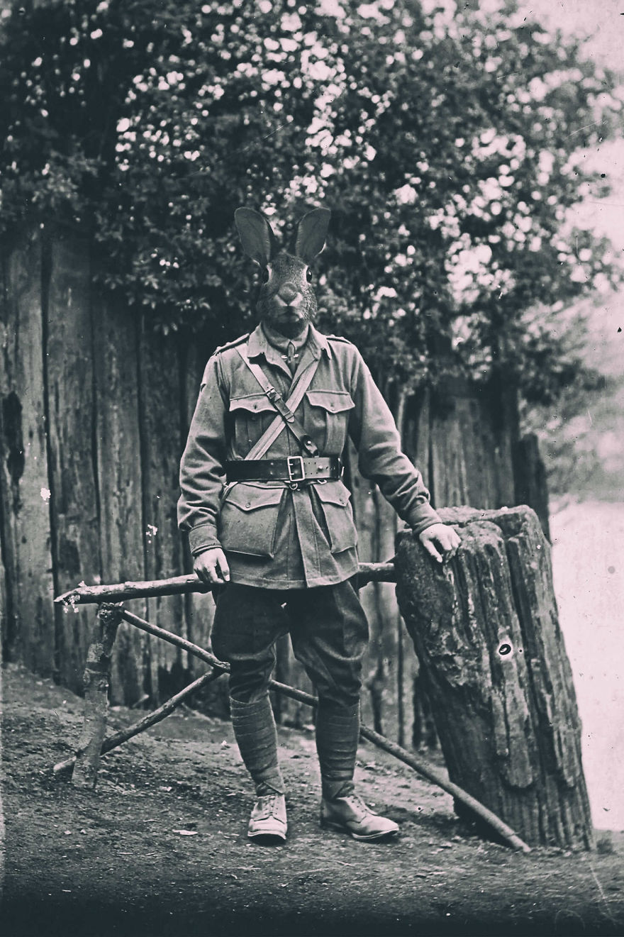 My Photo Editing Project “Anthropomorphism” That Humanizes Animals And Animalizes Humans (30 Pics) My Photo Editing Project “Anthropomorphism” That Humanizes Animals And Animalizes Humans (30 Pics)