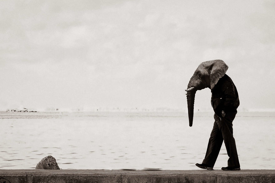 My Photo Editing Project “Anthropomorphism” That Humanizes Animals And Animalizes Humans (30 Pics) My Photo Editing Project “Anthropomorphism” That Humanizes Animals And Animalizes Humans (30 Pics)