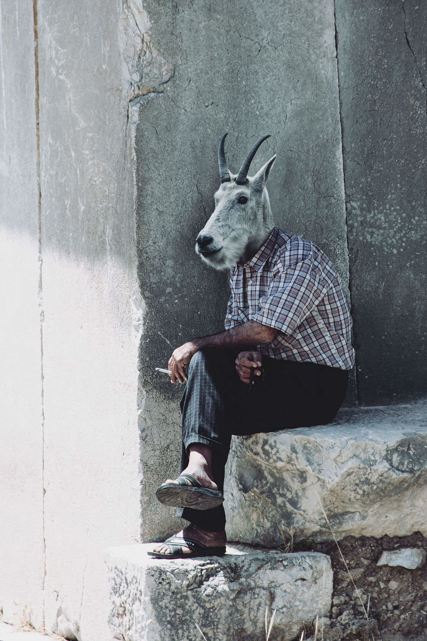 My Photo Editing Project “Anthropomorphism” That Humanizes Animals And Animalizes Humans (30 Pics) My Photo Editing Project “Anthropomorphism” That Humanizes Animals And Animalizes Humans (30 Pics)