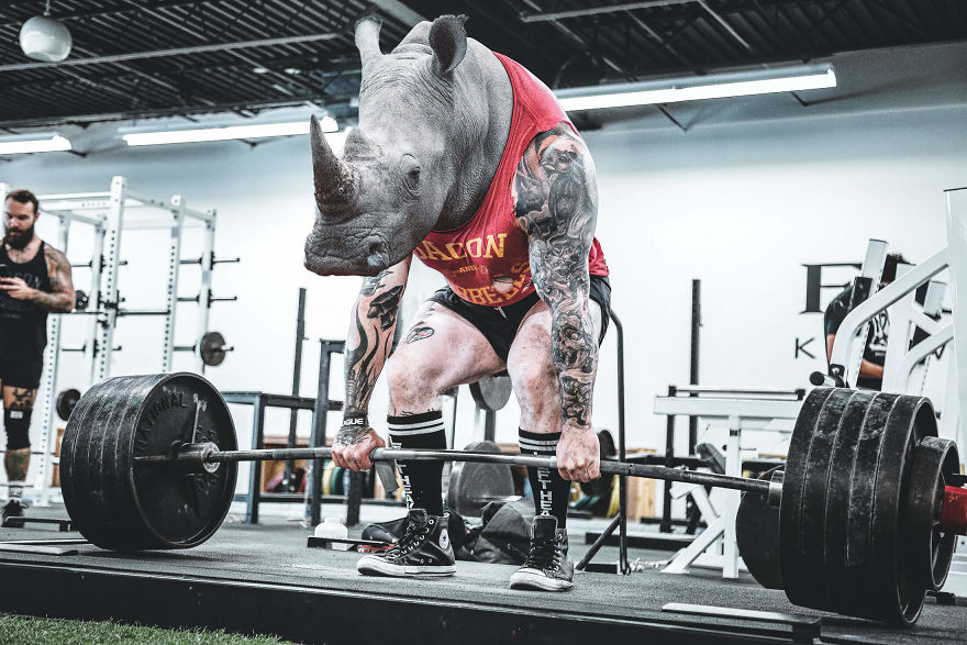 My Photo Editing Project “Anthropomorphism” That Humanizes Animals And Animalizes Humans (30 Pics) My Photo Editing Project “Anthropomorphism” That Humanizes Animals And Animalizes Humans (30 Pics)