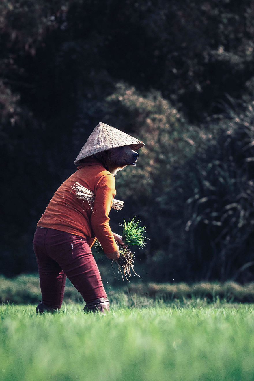 My Photo Editing Project “Anthropomorphism” That Humanizes Animals And Animalizes Humans (30 Pics) My Photo Editing Project “Anthropomorphism” That Humanizes Animals And Animalizes Humans (30 Pics)