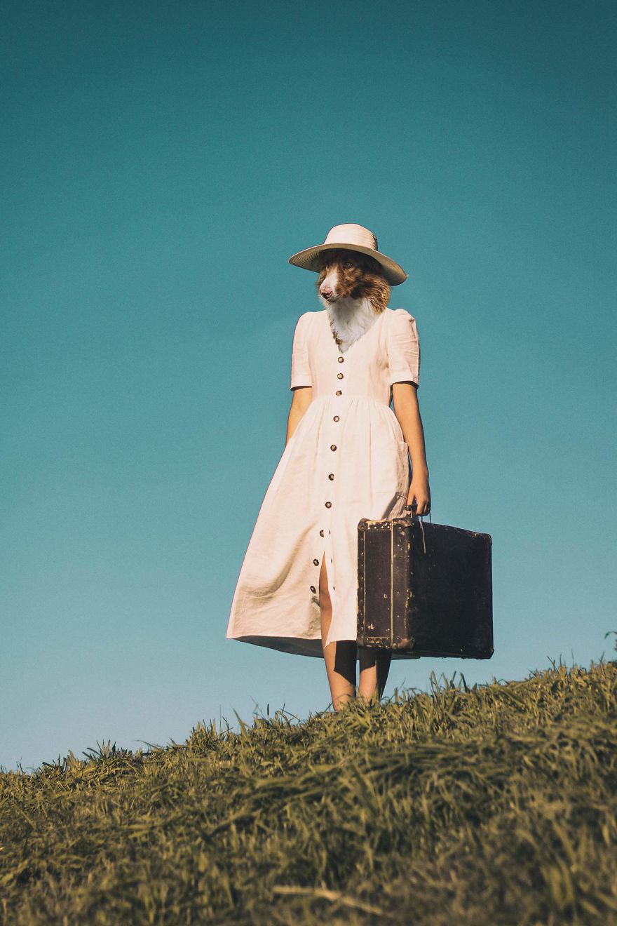 My Photo Editing Project “Anthropomorphism” That Humanizes Animals And Animalizes Humans (30 Pics) My Photo Editing Project “Anthropomorphism” That Humanizes Animals And Animalizes Humans (30 Pics)