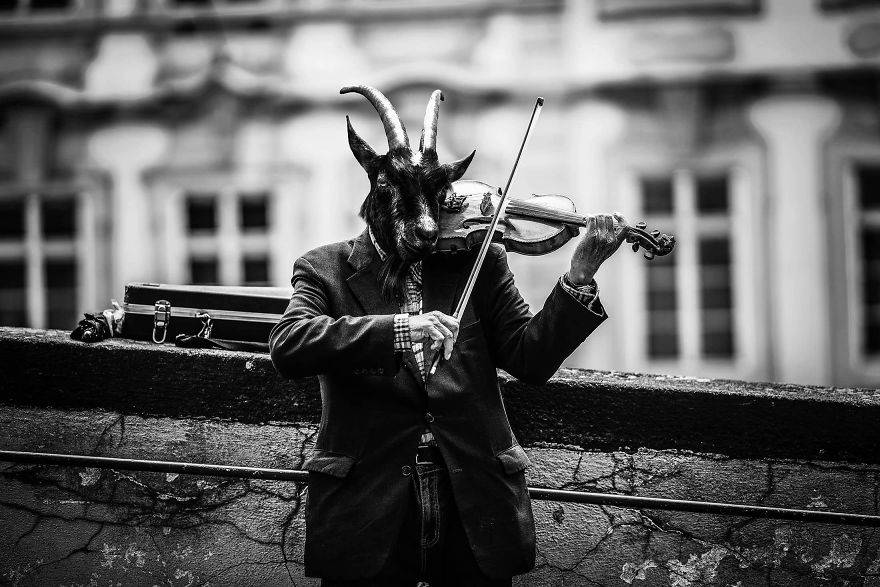 My Photo Editing Project “Anthropomorphism” That Humanizes Animals And Animalizes Humans (30 Pics) My Photo Editing Project “Anthropomorphism” That Humanizes Animals And Animalizes Humans (30 Pics)