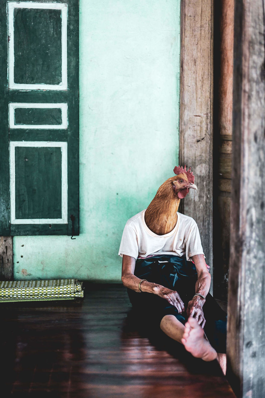 My Photo Editing Project “Anthropomorphism” That Humanizes Animals And Animalizes Humans (30 Pics) My Photo Editing Project “Anthropomorphism” That Humanizes Animals And Animalizes Humans (30 Pics)