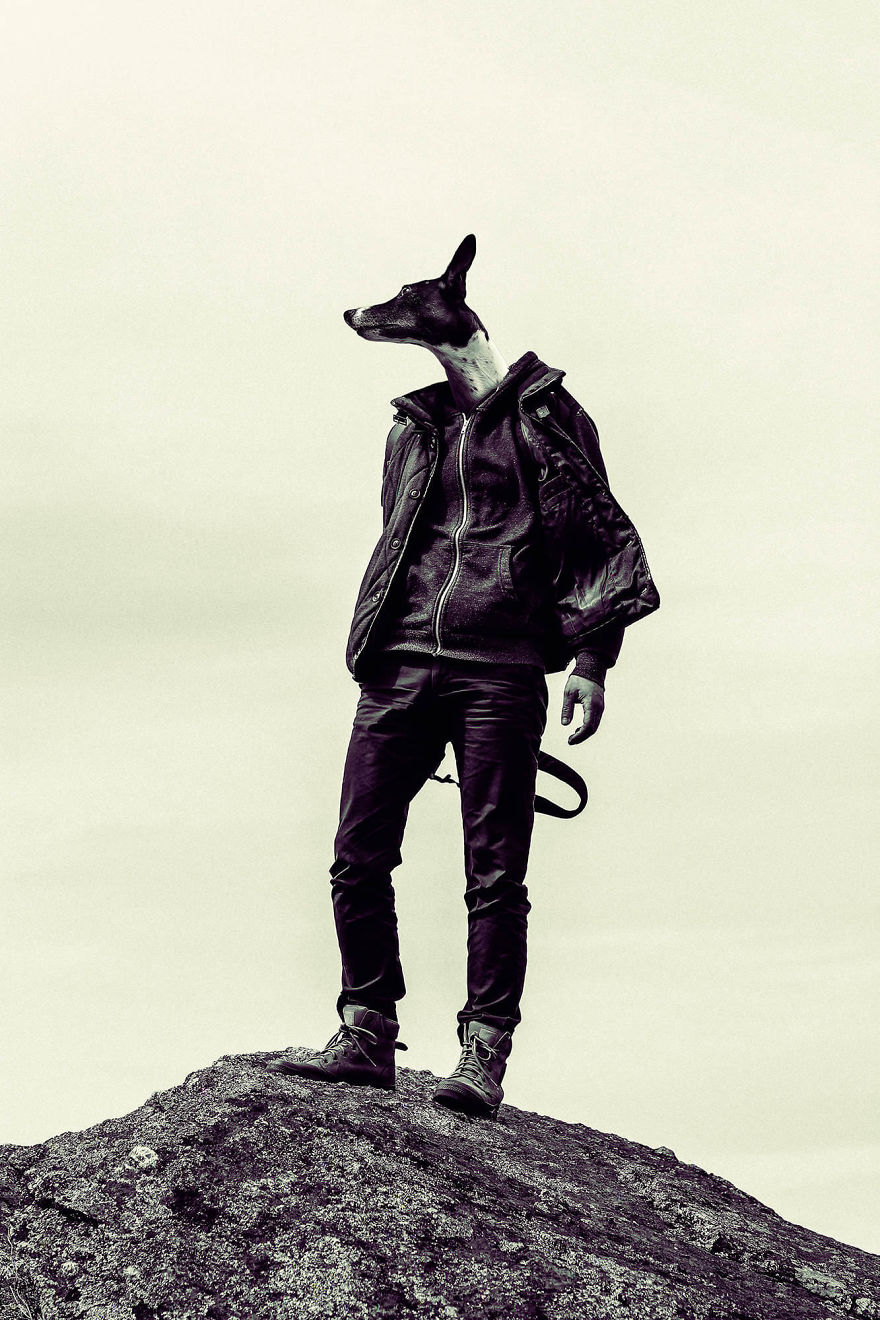 My Photo Editing Project “Anthropomorphism” That Humanizes Animals And Animalizes Humans (30 Pics) My Photo Editing Project “Anthropomorphism” That Humanizes Animals And Animalizes Humans (30 Pics)