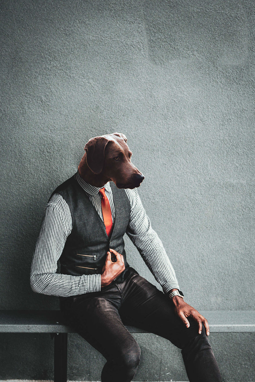 My Photo Editing Project “Anthropomorphism” That Humanizes Animals And Animalizes Humans (30 Pics) My Photo Editing Project “Anthropomorphism” That Humanizes Animals And Animalizes Humans (30 Pics)