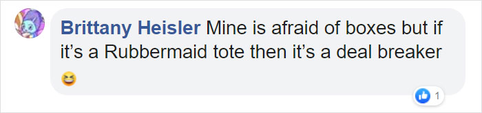 Turns Out, Cats Love Boxes So Much Because They Reduce Stress Turns Out, Cats Love Boxes So Much Because They Reduce Stress