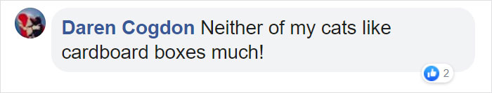 Turns Out, Cats Love Boxes So Much Because They Reduce Stress Turns Out, Cats Love Boxes So Much Because They Reduce Stress