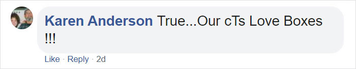 Turns Out, Cats Love Boxes So Much Because They Reduce Stress Turns Out, Cats Love Boxes So Much Because They Reduce Stress