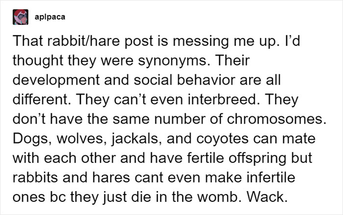 People Share Mindblowing Pairs Of Animals That Look Similar But Are Genetically Incompatible