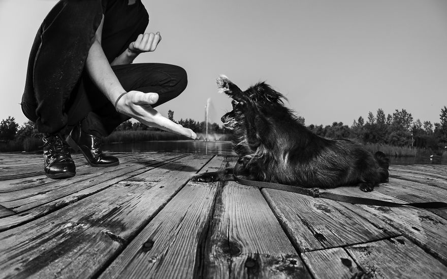 “Don’t You Want Me”: Photography, Rescue Dogs And Lgbtq “Don’t You Want Me”: Photography, Rescue Dogs And Lgbtq