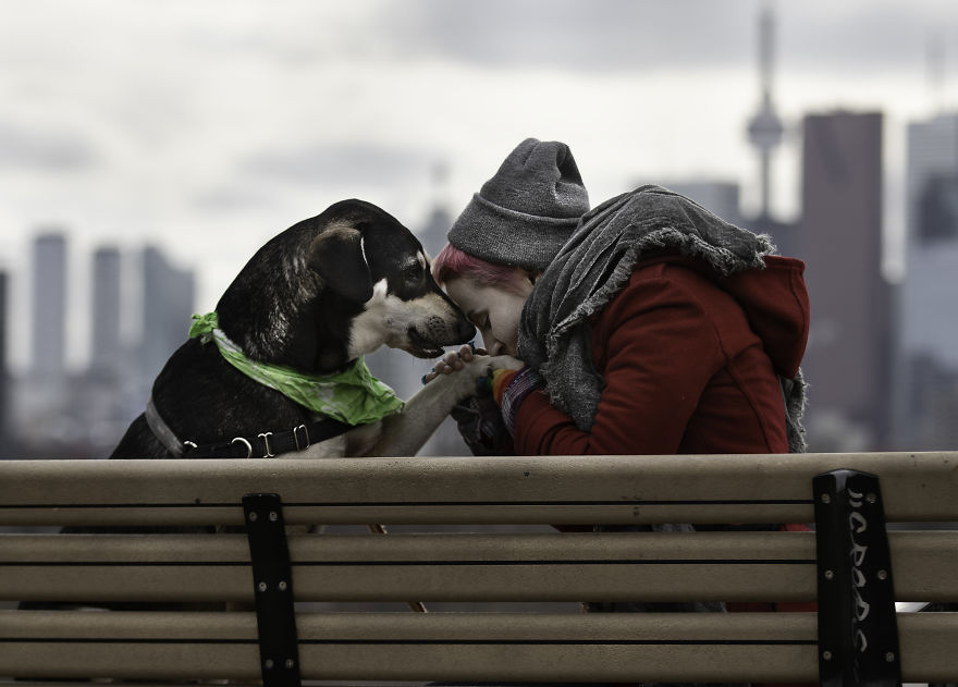 “Don’t You Want Me”: Photography, Rescue Dogs And Lgbtq “Don’t You Want Me”: Photography, Rescue Dogs And Lgbtq