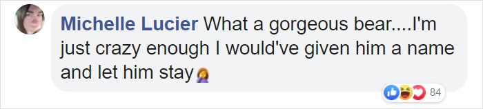 This Family Was Shocked To Find That A Giant Bear Has Moved In Under Their House This Family Was Shocked To Find That A Giant Bear Has Moved In Under Their House