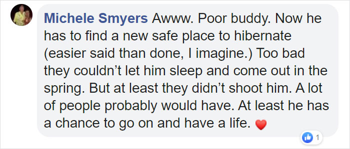 This Family Was Shocked To Find That A Giant Bear Has Moved In Under Their House This Family Was Shocked To Find That A Giant Bear Has Moved In Under Their House