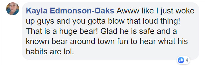 This Family Was Shocked To Find That A Giant Bear Has Moved In Under Their House This Family Was Shocked To Find That A Giant Bear Has Moved In Under Their House