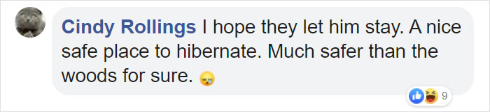This Family Was Shocked To Find That A Giant Bear Has Moved In Under Their House This Family Was Shocked To Find That A Giant Bear Has Moved In Under Their House