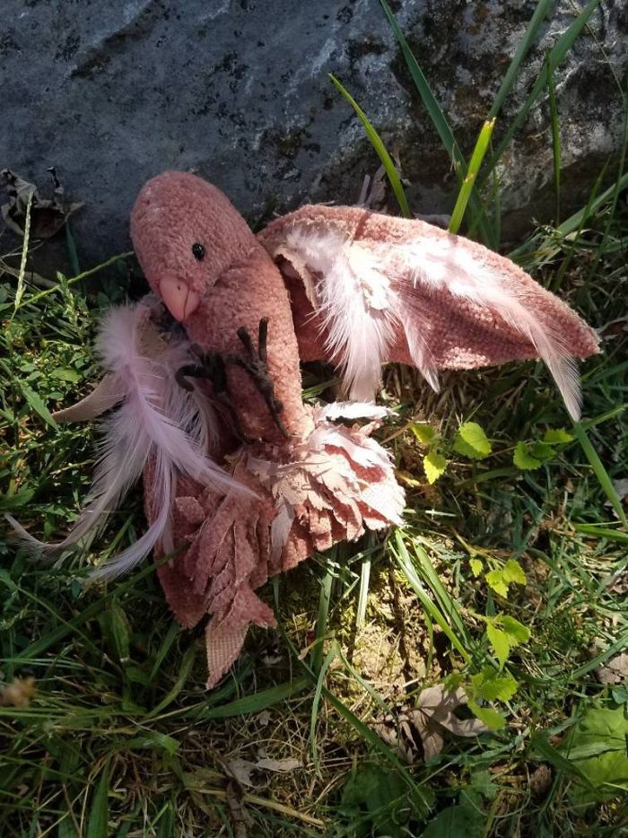 Artist Creates Moths And Birds So Lifelike And Whimsical It Changes Your View On Reality