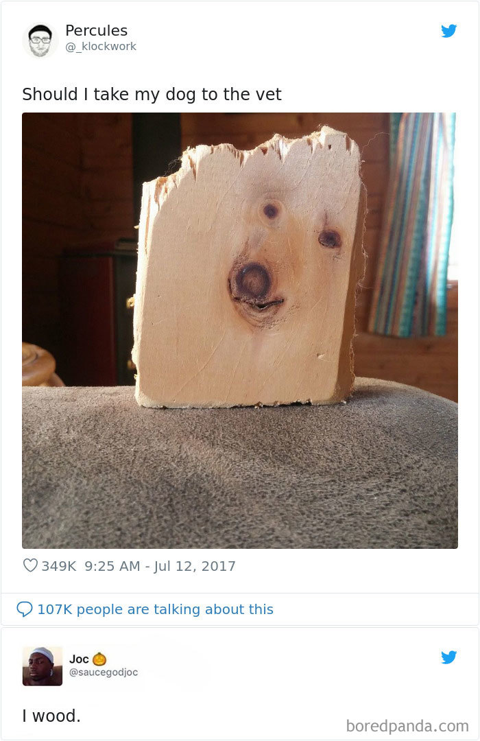 40 Times People Saw Hilarious Puns And Just Had To Share Them 40 Times People Saw Hilarious Puns And Just Had To Share Them