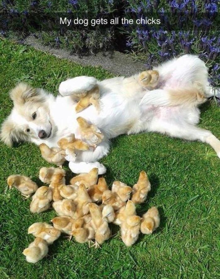 40 Times People Saw Hilarious Puns And Just Had To Share Them 40 Times People Saw Hilarious Puns And Just Had To Share Them