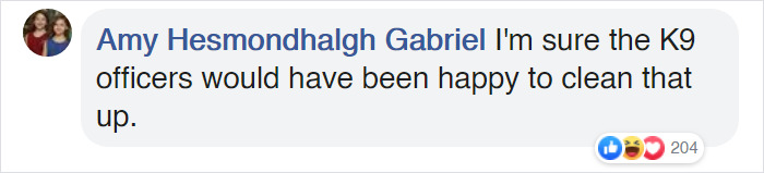 Police Officers Investigate A Krispy Kreme Truck That Spilled Donuts All Over The Road, Crack People Up With Their Hilarious Report Police Officers Investigate A Krispy Kreme Truck That Spilled Donuts All Over The Road, Crack People Up With Their Hilarious Report