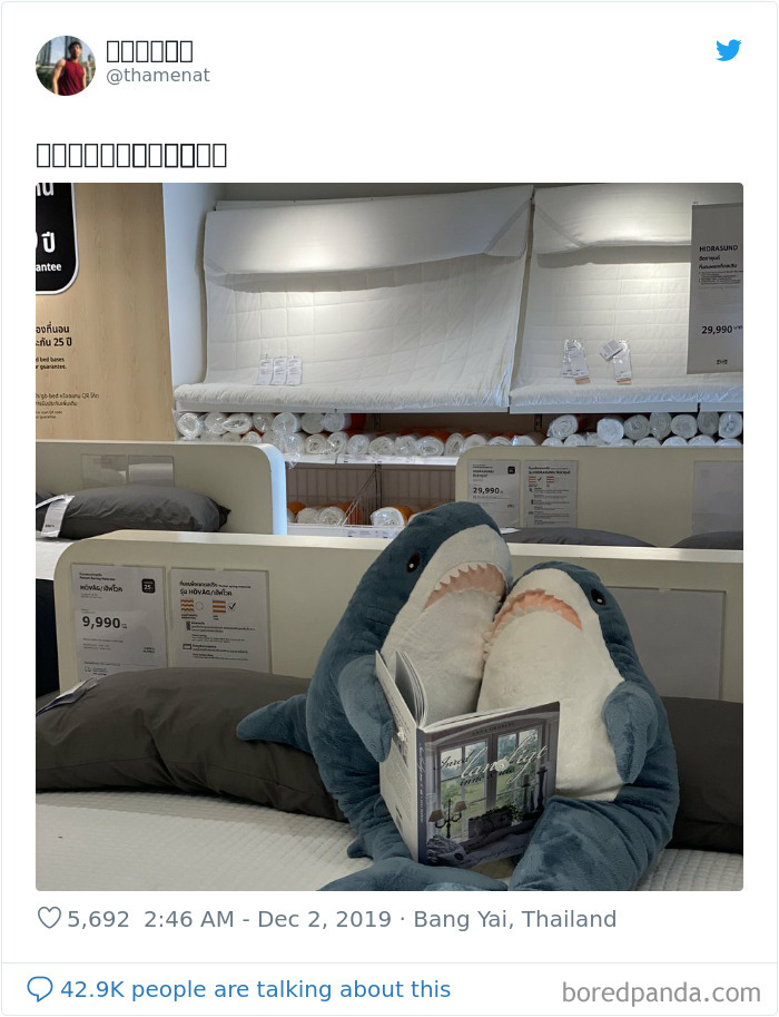 22 Times IKEA Customers Spotted Shark Plushies “Doing Human Things” At Their Stores 22 Times IKEA Customers Spotted Shark Plushies “Doing Human Things” At Their Stores