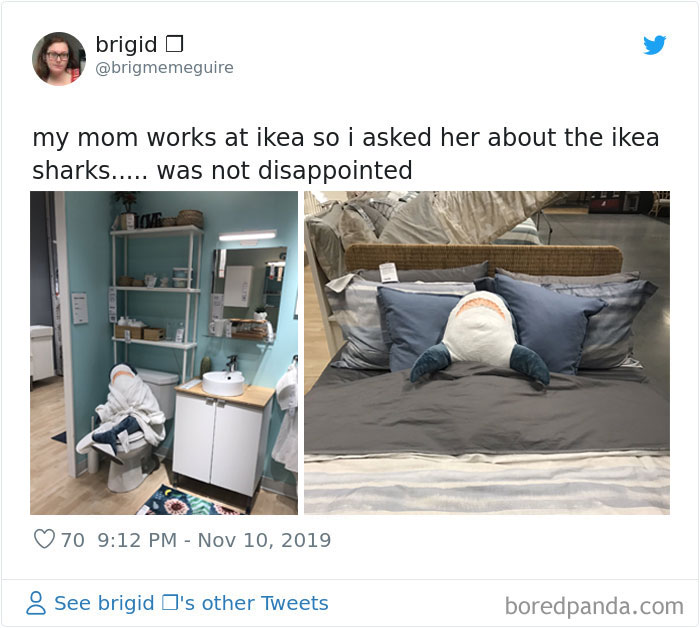 22 Times IKEA Customers Spotted Shark Plushies “Doing Human Things” At Their Stores 22 Times IKEA Customers Spotted Shark Plushies “Doing Human Things” At Their Stores